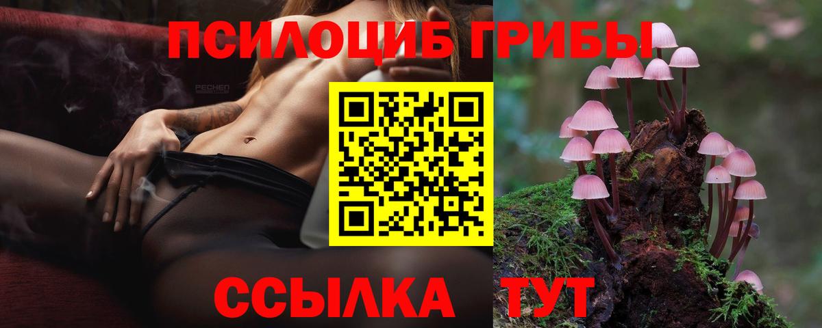 Владикавказ  Псилоцибиновые грибы ЛСД  купить   Вход с VPN  Псилоцибиновые грибы ЛСД 